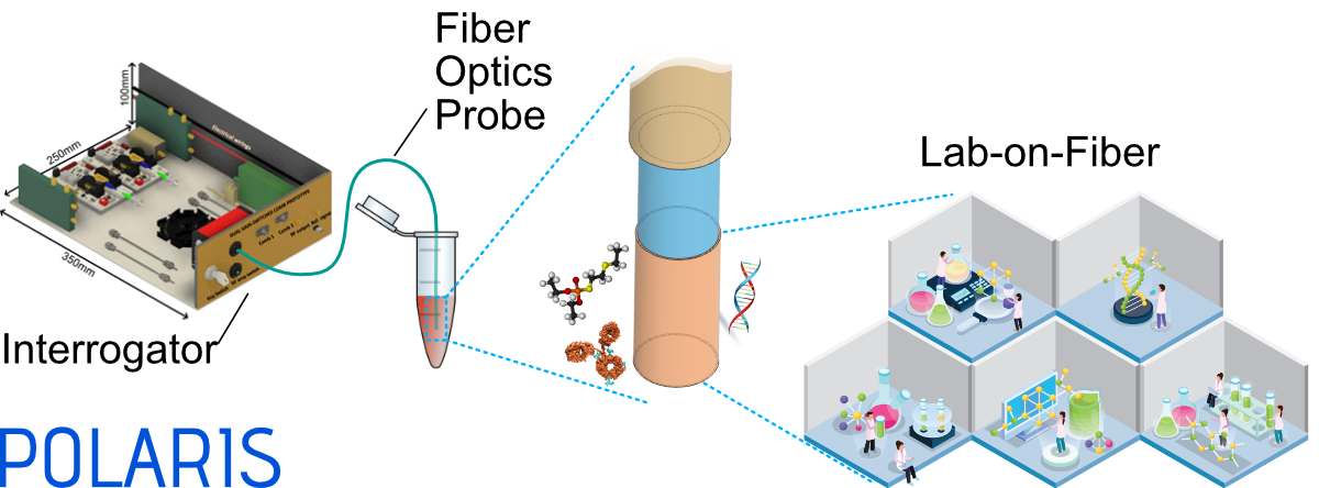 Graphical abstract